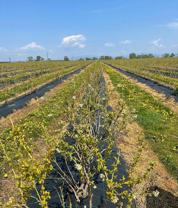 Empowering Farmers with Science-Backed Solutions