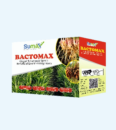 Bactomax Kit