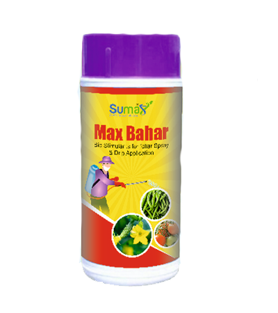 MAX-BAHAR