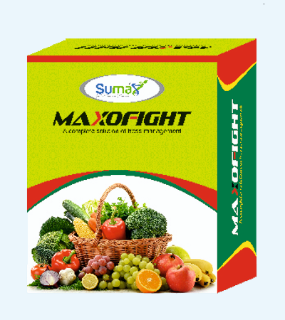 Maxofight