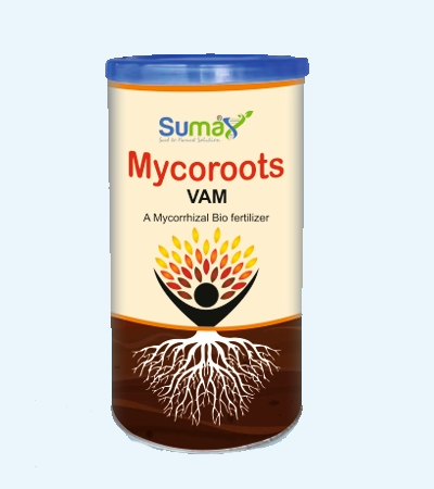 Mycoroots VAM