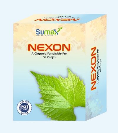 Nexon